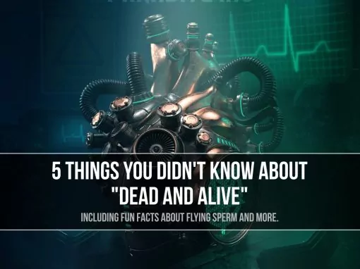 5 things you didn’t know about “Dead And Alive” 5 things you didn’t know about “Dead And Alive”